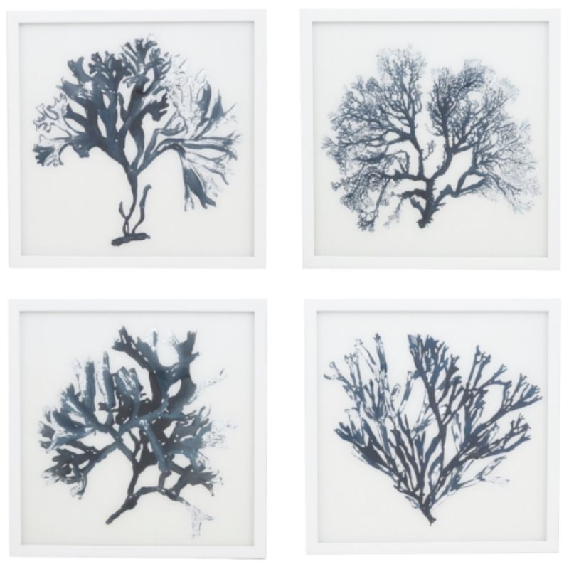 Blue & White Coral Framed 43CM