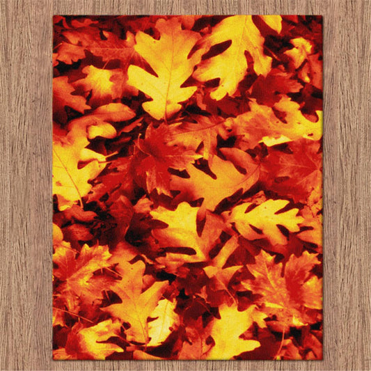 Flash 7438 Multi Rug