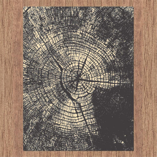 RUBY - 2118 Grey Rug