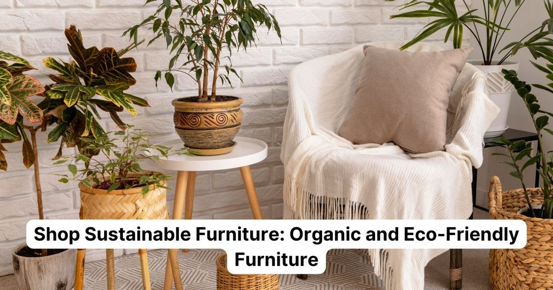 The Rise of Sustainable and Eco-Friendly Furniture: Why It Matters and What to Look for When Shopping
