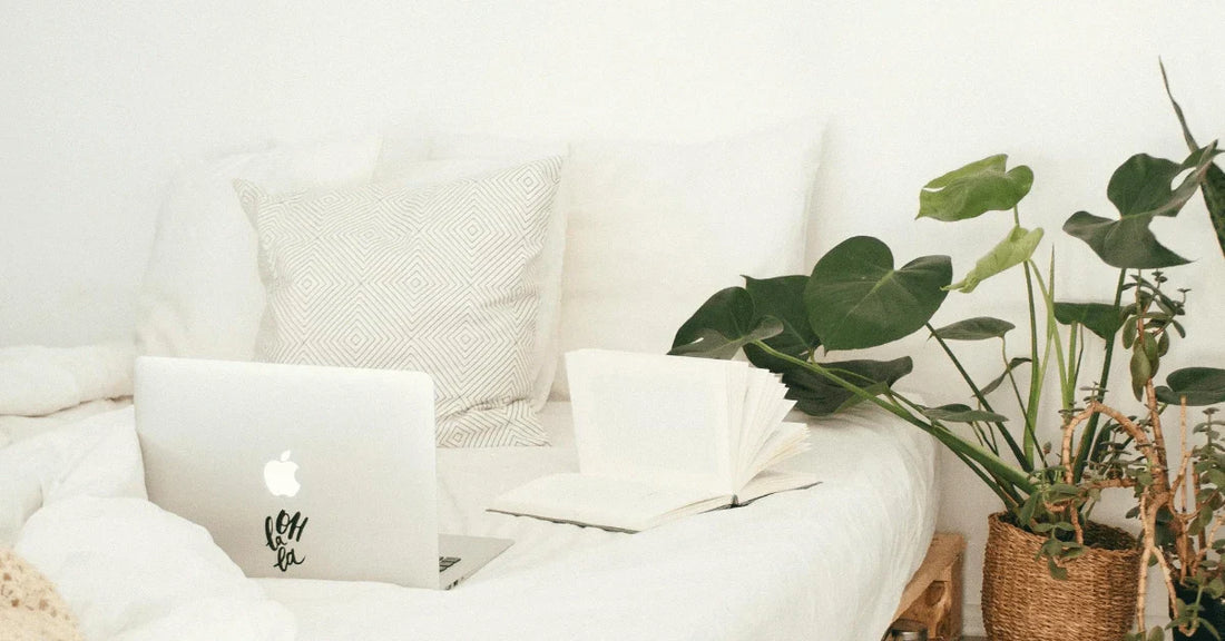 Timeless Looks Styled With Australian Made Furniture