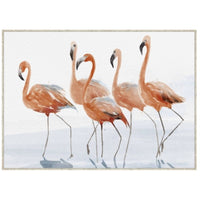 Dreamy Water Flemingos