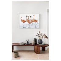 Dreamy Water Flemingos