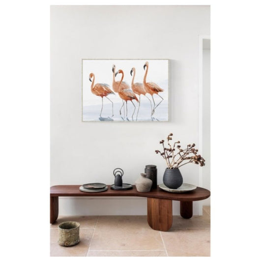 Dreamy Water Flemingos