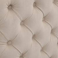 Crown Velvet Lounge with premium upholstery and foam, displayed in a contemporary living room.