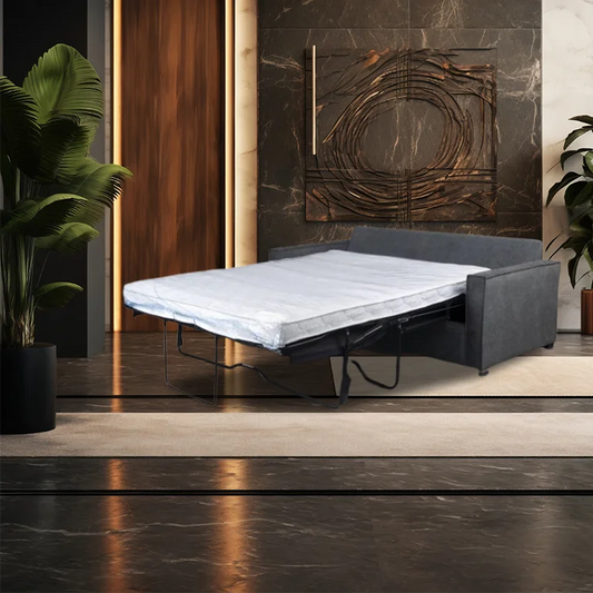 Dylan Queen Sofa Bed W/Mattress