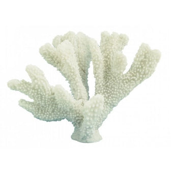 compare product Horn Coral 23CM
