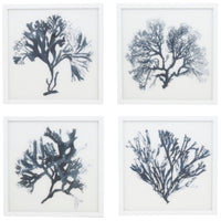 Blue & White Coral Framed 43CM