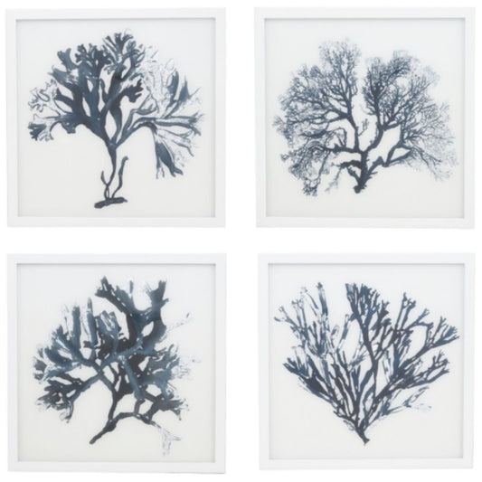 Blue & White Coral Framed 43CM