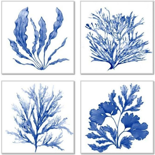 Blue Reef Coral Frame