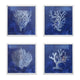 White Coral Wall Art