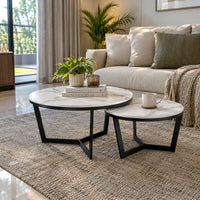 Nesta Coffee Table Living Room Centerpiece