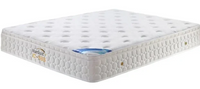 Stardust IC-888 Mattress FIRM