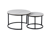 Synergy Set of 2 Coffee Tables
