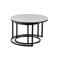 Synergy Set of 2 Coffee Tables