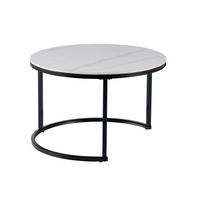 Synergy Set of 2 Coffee Tables