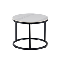 Synergy Set of 2 Coffee Tables