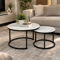 Synergy Set of 2 Coffee Tables