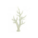 Ivory Bush Coral