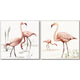 Pink Flamingo Framed