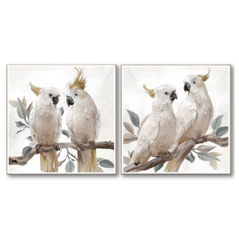 compare product Cockatoo Pair Frame