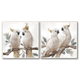 Cockatoo Pair Frame