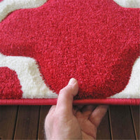 Aspen 742 Red Rug