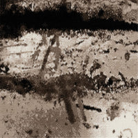 Desire 3444 Grey Rug