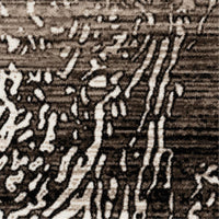 Desire 3445 Brown Rug