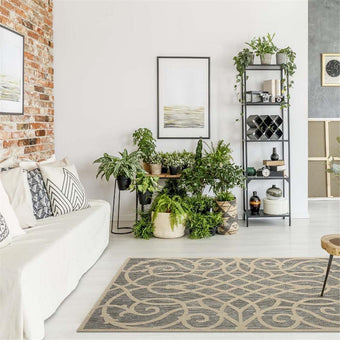 compare product Havana 351 Grey Rug