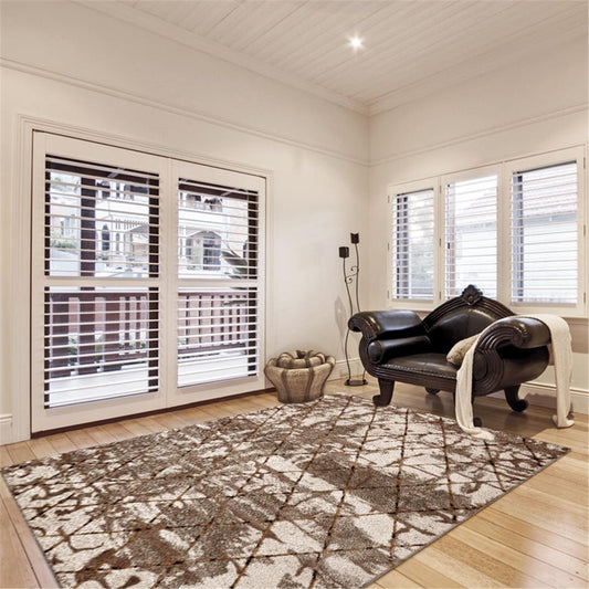 Hudson 9698 Beige Rug