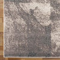 Odessa 2384 Beige Rug