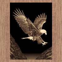 RUBY - 6324 Eagle Rug