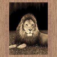 RUBY - 6327 Lion Rug