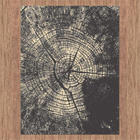 RUBY - 2118 Grey Rug