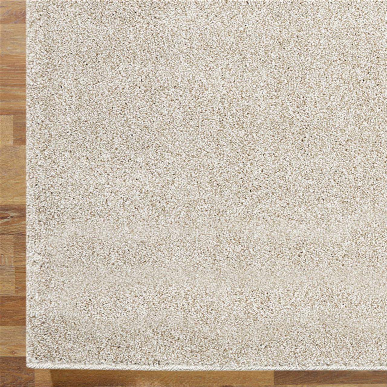 SIERRA 6365 - Beige Rug