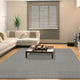 SIERRA 6365 - Grey Rug