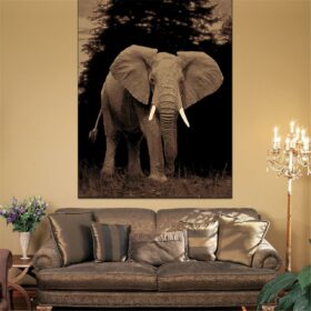RUBY - 6325 Elephant Rug