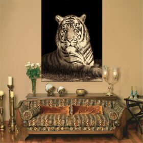 RUBY - 6329 Tiger Rug